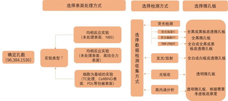 圖片 3