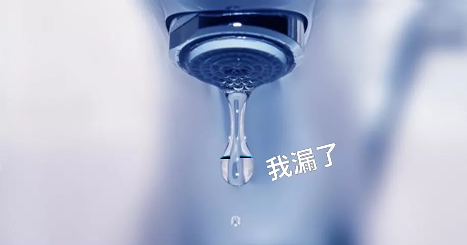 圖片 5