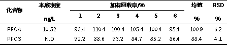 圖片 13