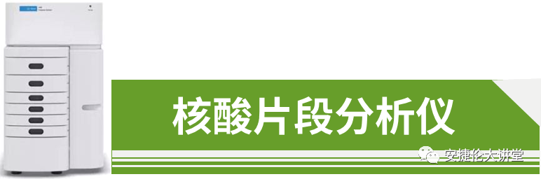 圖片12