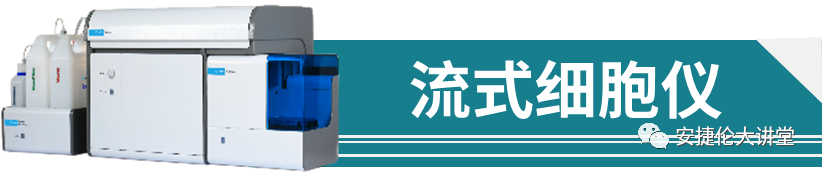 圖片13